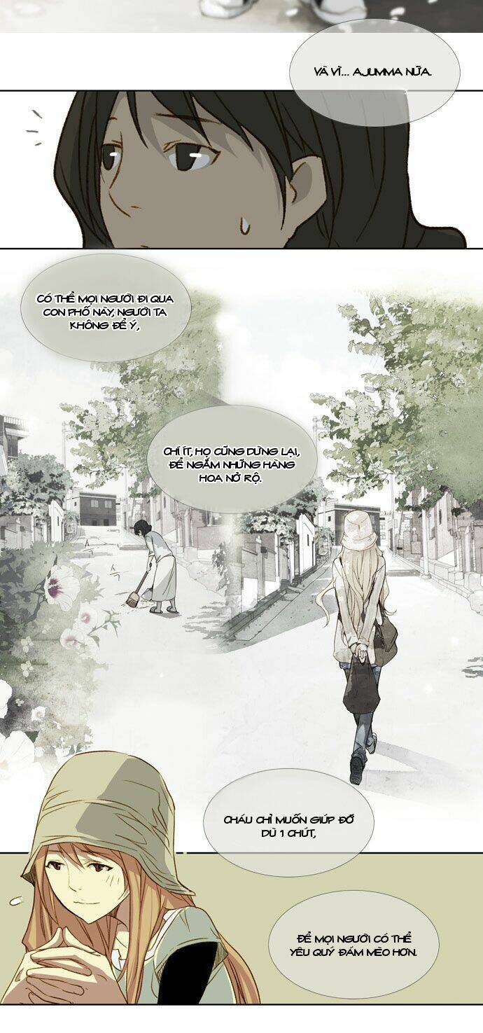 mười chín, hai mươi mốt chapter 14 25