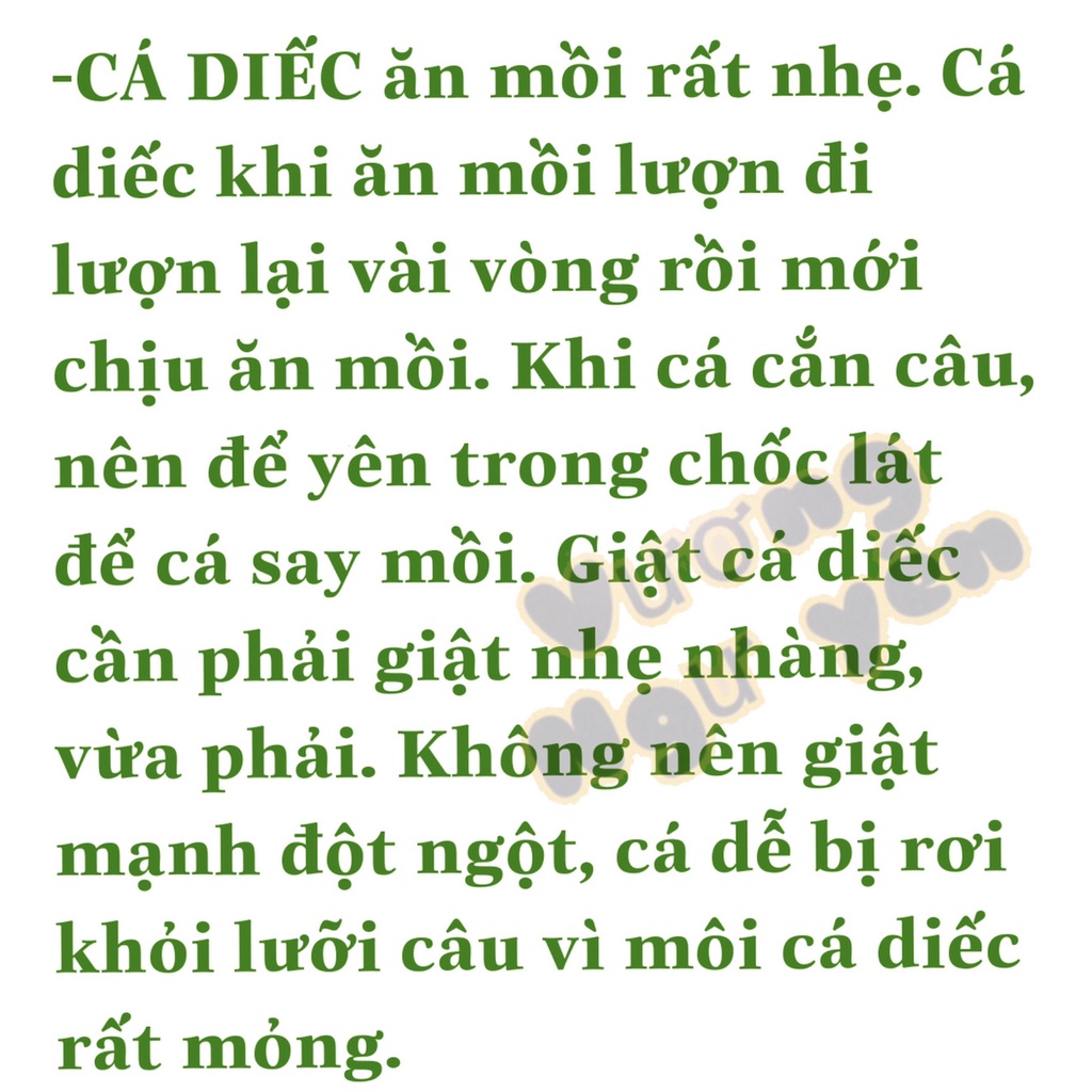 6 gói Mồi câu cá Diếc Vương Ngư Yên / bột câu cá / cước / thẻo / cần câu / ô dù / ghế câu / lưỡi câu