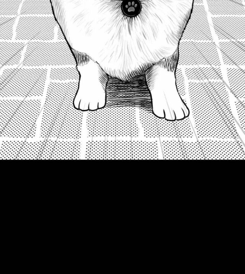 dạ hành khuyển chapter 1 35