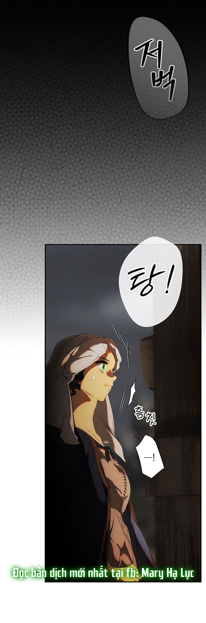 quý cô bí ẩn - secret lady chapter 80.2 12