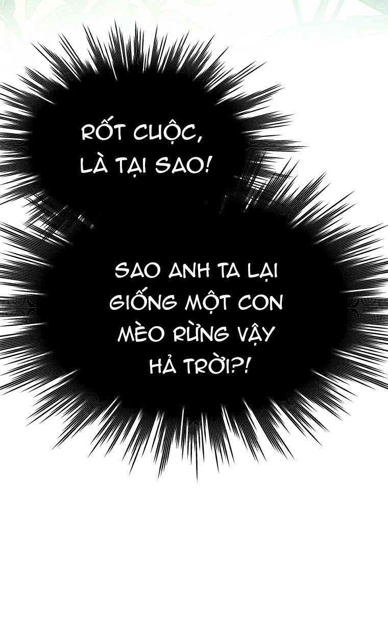 đừng đặt tình cảm mình vào cuốn sách đó chapter 2 72