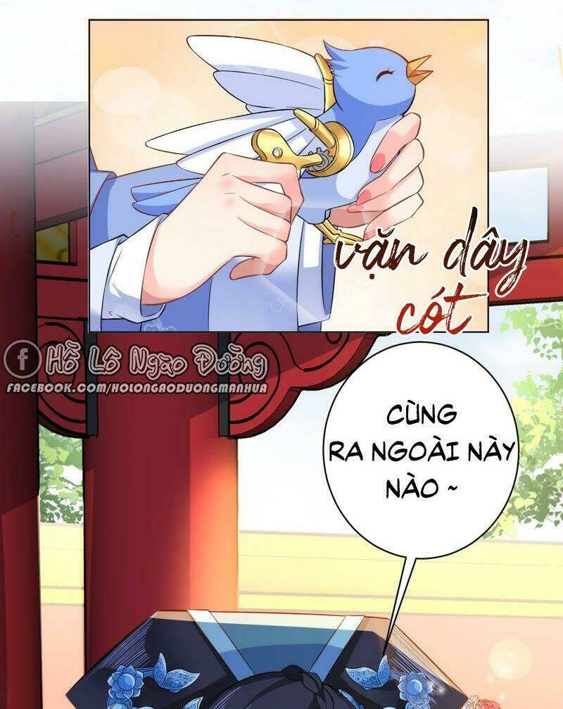 quận chúa vững vàng, thiết lập nhân vật không thể vỡ chapter 43 52