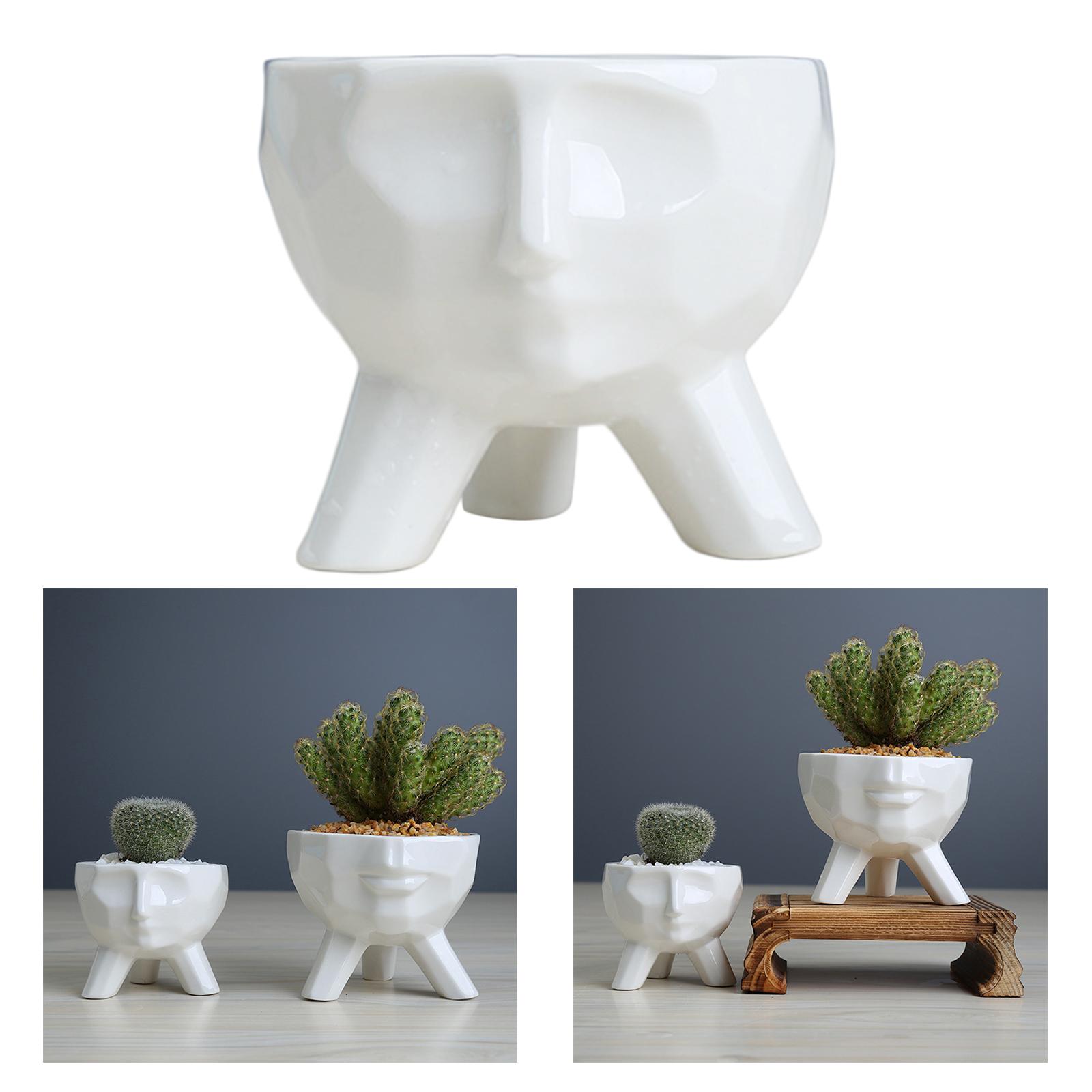 Head Design Succulents Plant Pot /Cactus Planter Indoor Outdoor Ceramic Planter, Cute Plants Flowerpot