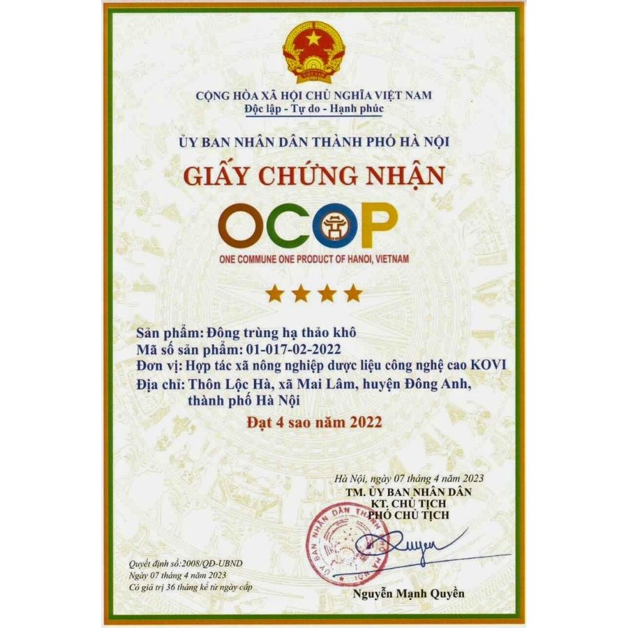Đông trùng hạ thảo KOVI khô sấy thăng hoa 30g [Giá dùng thử]