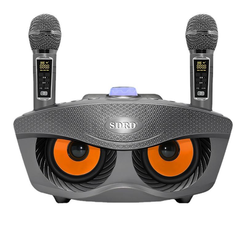 30W Cú Card Âm Thanh Boombox Có Micro Không Dây Ngoài Trời Loa Bluetooth Di Động Tất Cả Trong Một Kép Karaoke KTV Nhà Color: SD306plus Gold