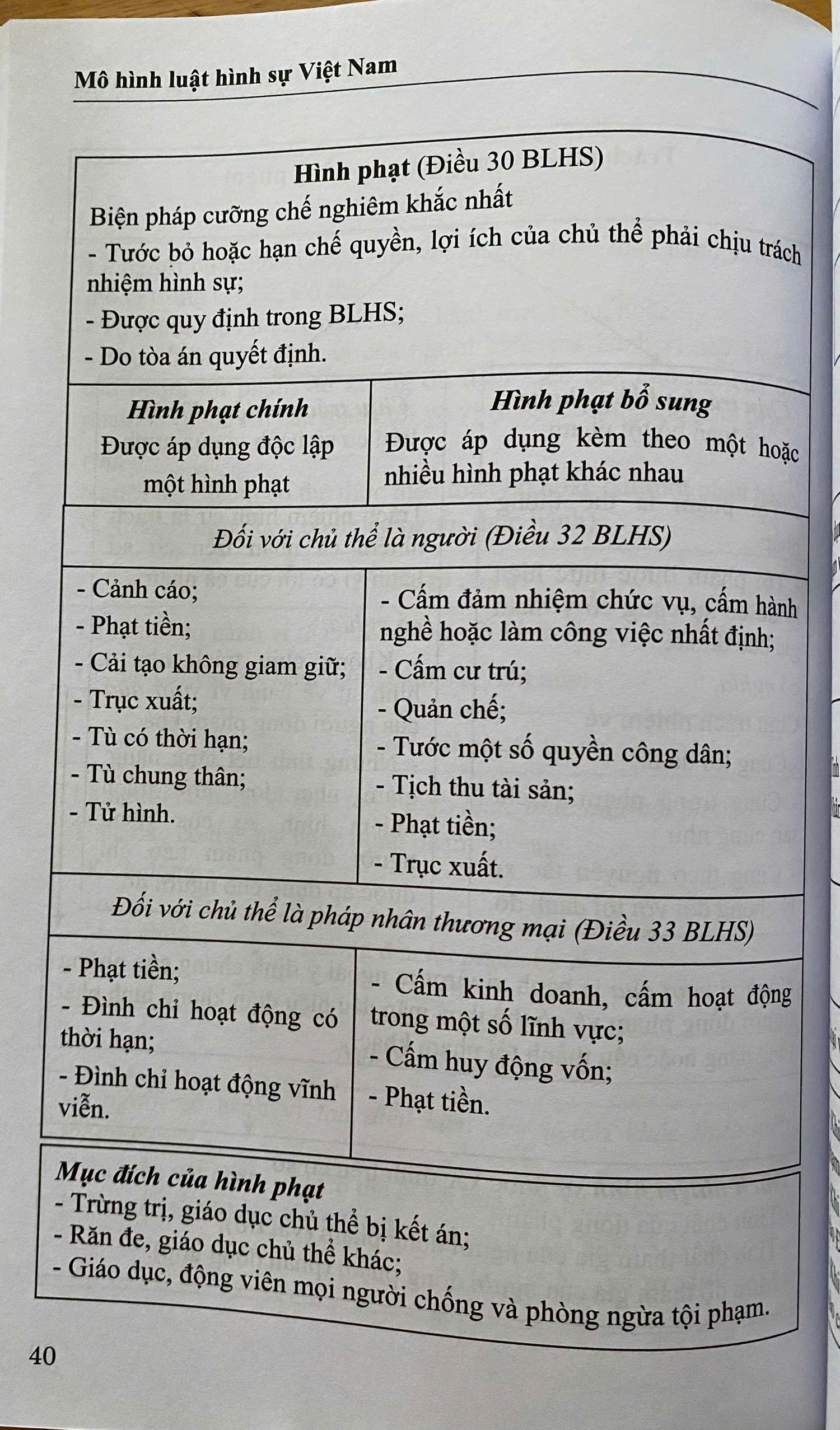 Mô Hình Luật Hình Sự Việt Nam