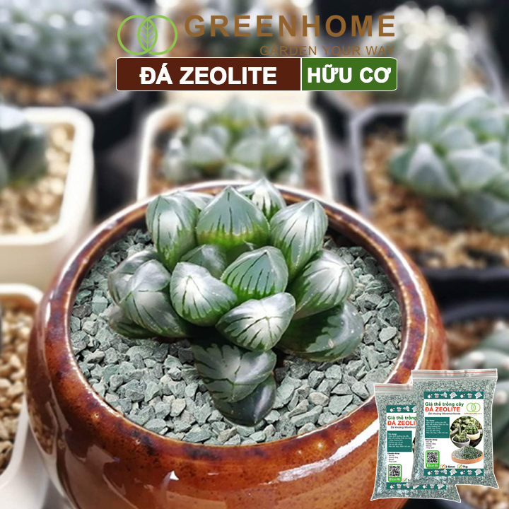 Đá zeolite Greenhome, size 3-6mm, rãi mặt, giá thể, sen đá, xương rồng, hồ thuỷ sinh