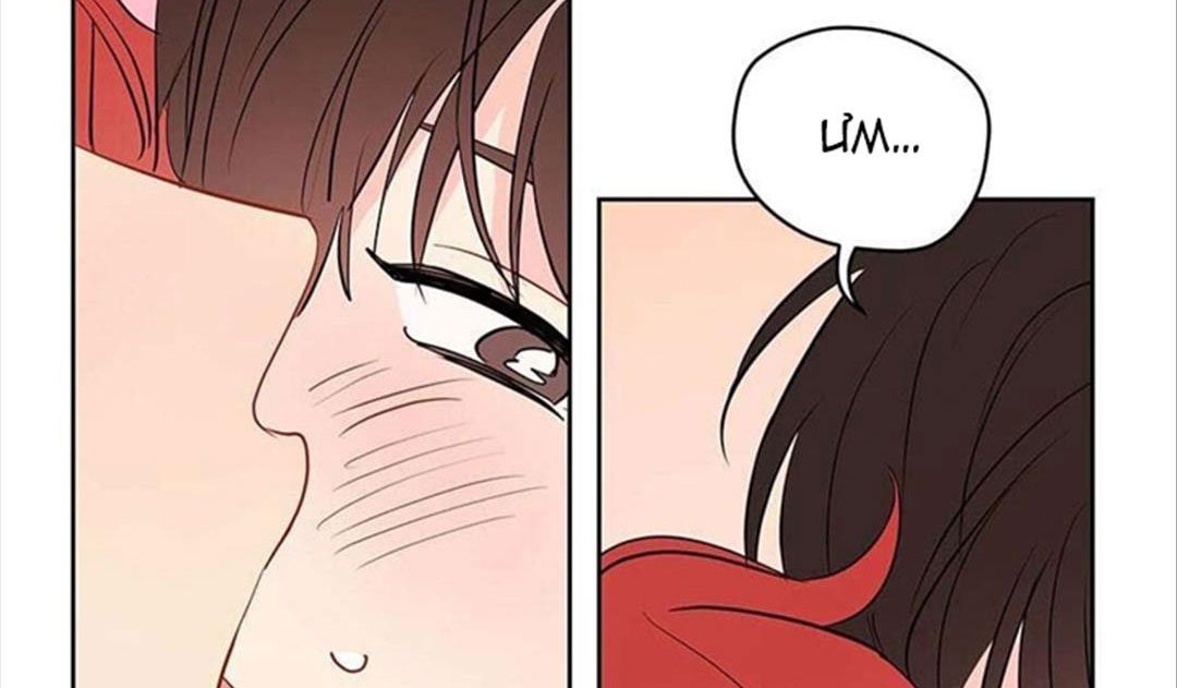 chuyện quái gì với giấc mơ đó vậy chapter 29 64