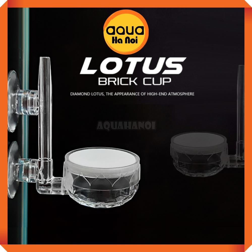 Đĩa sủi Oxy siêu mịn hồ cá thủy sinh - hoa sen Lotus - acrylic trong suốt Phi 12/35/60 mm