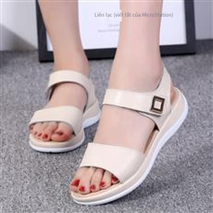Giày nữ được ưu đãi nhất giày công sở giày cổ tích xu hướng giảm giá mới nhất đôi giày hợp thời trang