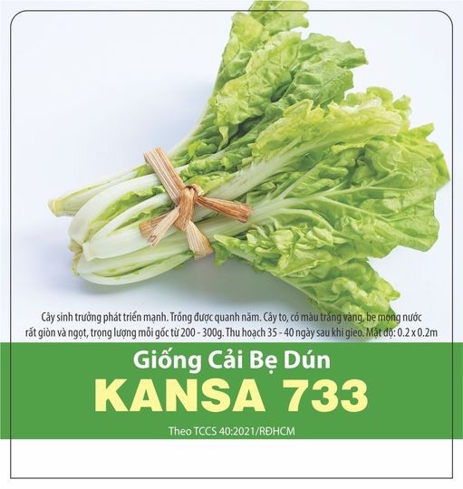 Hạt giống Cải bẹ dún KANSA 733