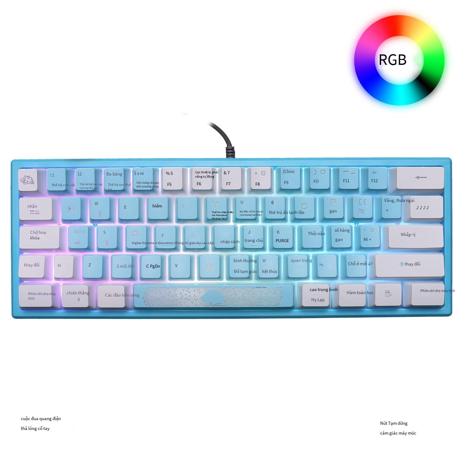 Bàn phím chơi game sói miễn phí thuận lợi nhất Bàn phím chơi game K61RGB ánh sáng RGB bàn phím mini tỷ lệ phần trăm 60 phần trăm bàn phím máy tính xách tay chơi game chơi game
