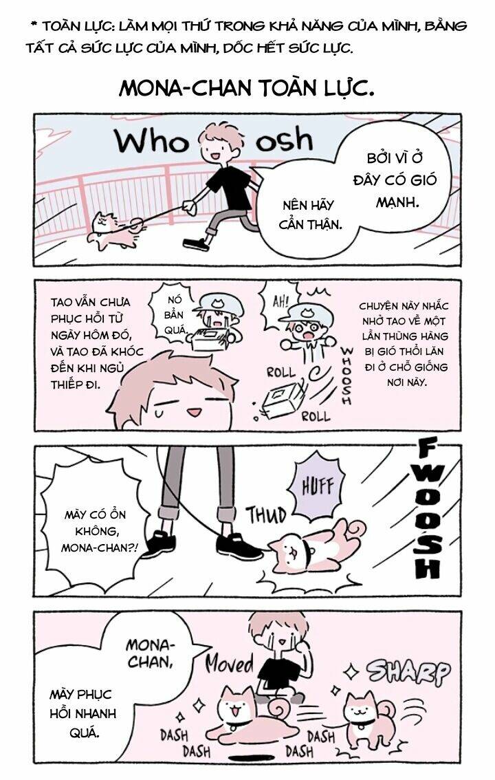 chú mèo kỳ diệu kyuu-chan chapter 677 3