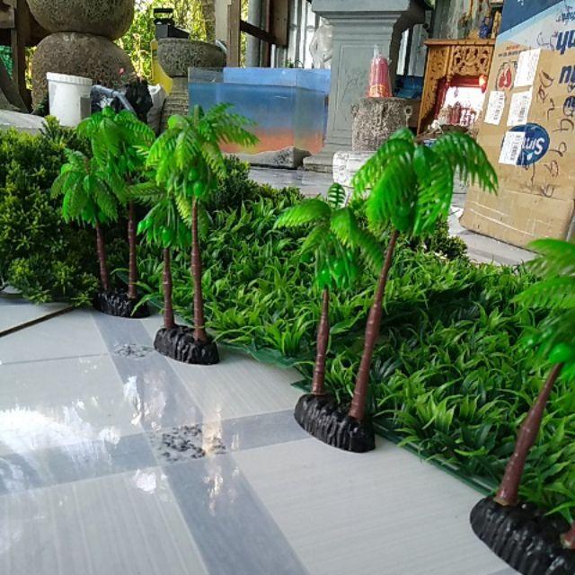 Cây cau trang trí tiểu cảnh bể cá