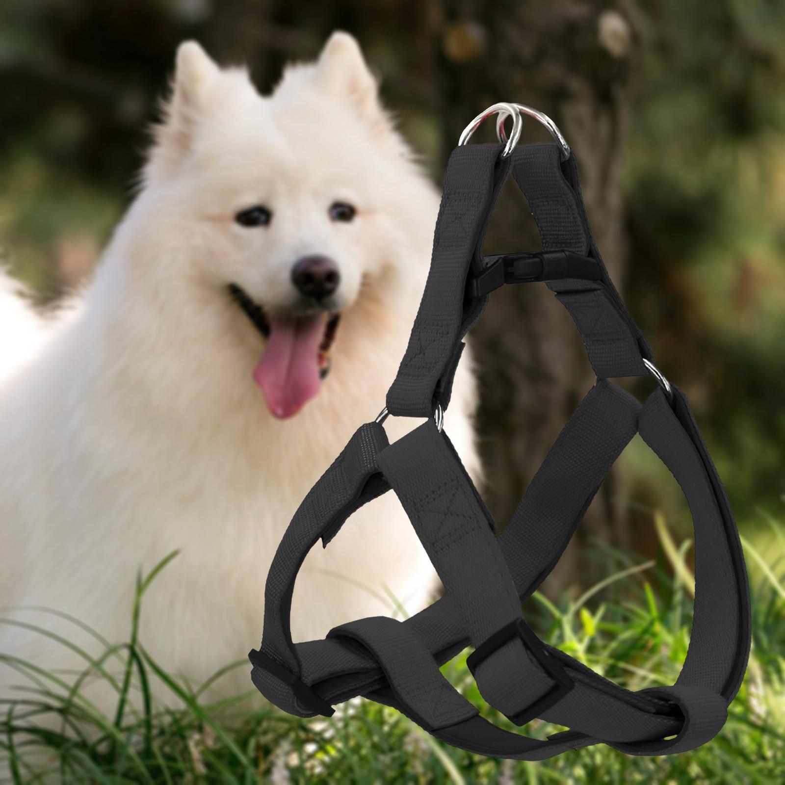 Dog Harness and Leash Set Adjustable Comfortable Puppy Vest for Running