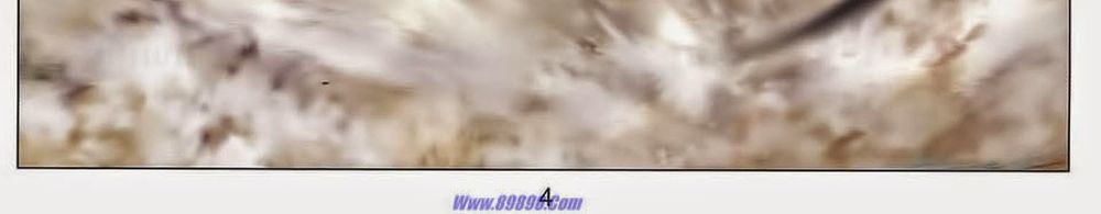 tuyệt thế vô song 2 chapter 81 6