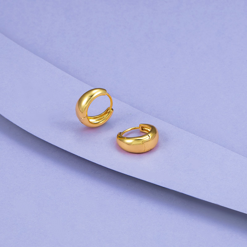 Bông Tai, Khuyên Tai Nữ Cổ Điển Titan Xi Mạ Vàng Non 24k Cao Cấp Phong Cách Thời Trang Trẻ Trung - HVBT97