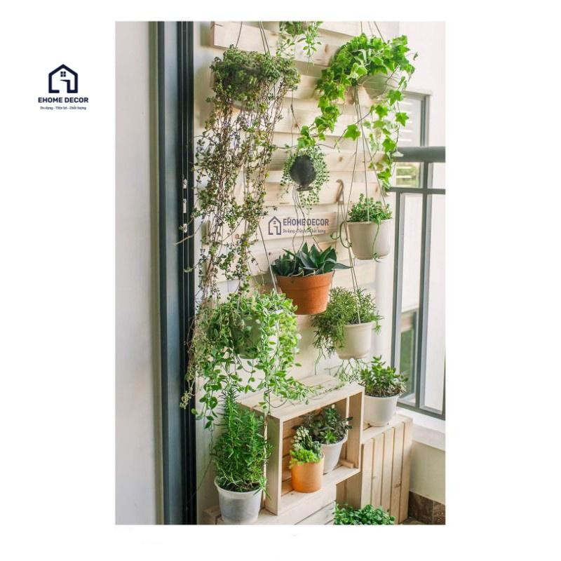 Kệ Gỗ Thịt Gắn Tường Trang Trí Chung Cư - Miễn Phí Sơn Tông Màu Phù Hợp - G503
