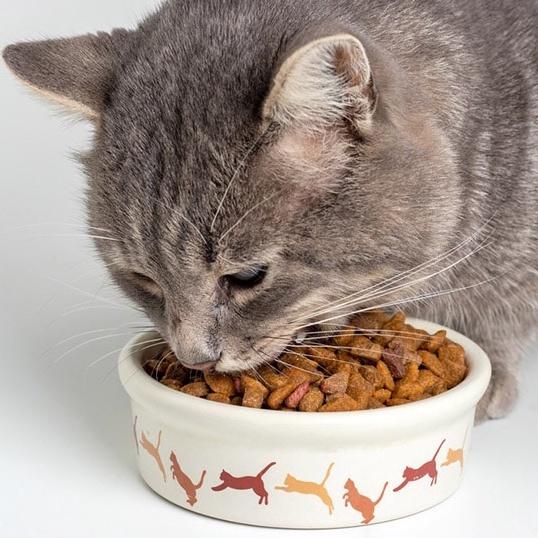 Thức Ăn Hạt Khô Cho Chó Mèo - Gói 20g