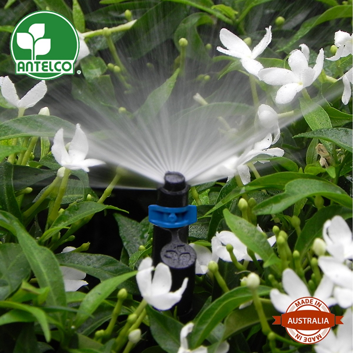 Bộ 10 Béc tưới cây 90 độ Asta 20cm. Xuất xứ: Australia.