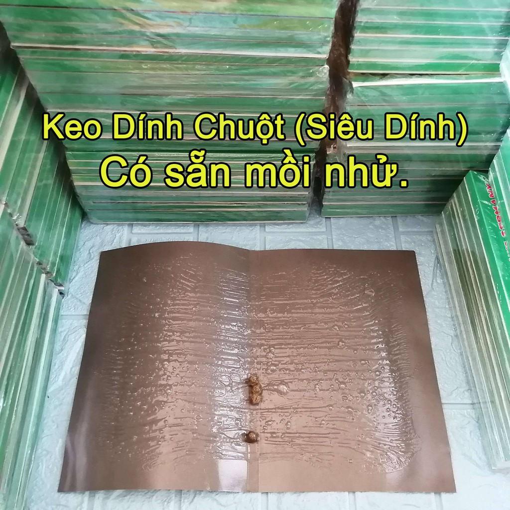 Keo Dính Chuột Siêu Dính