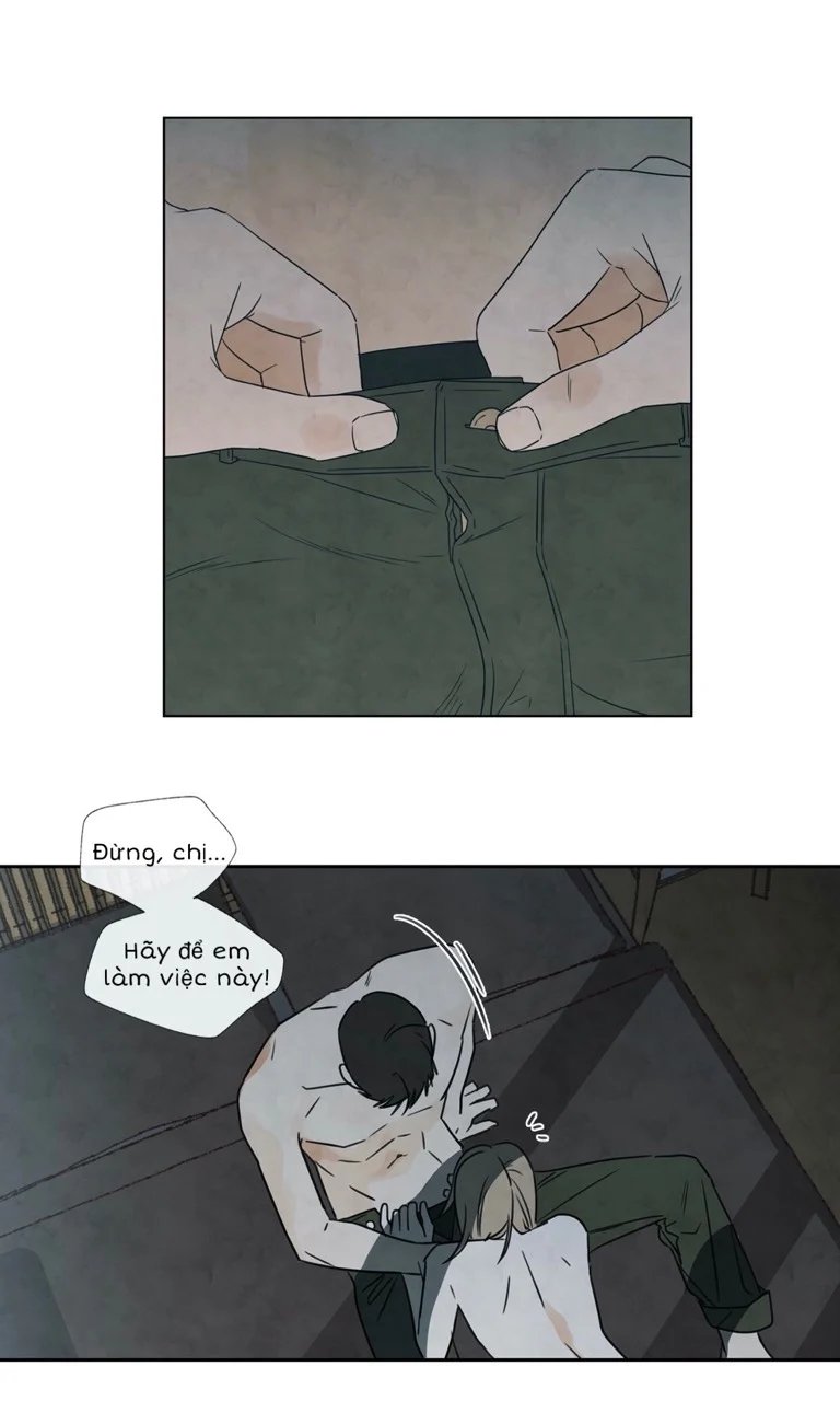 summer solstice point chapter 6 29