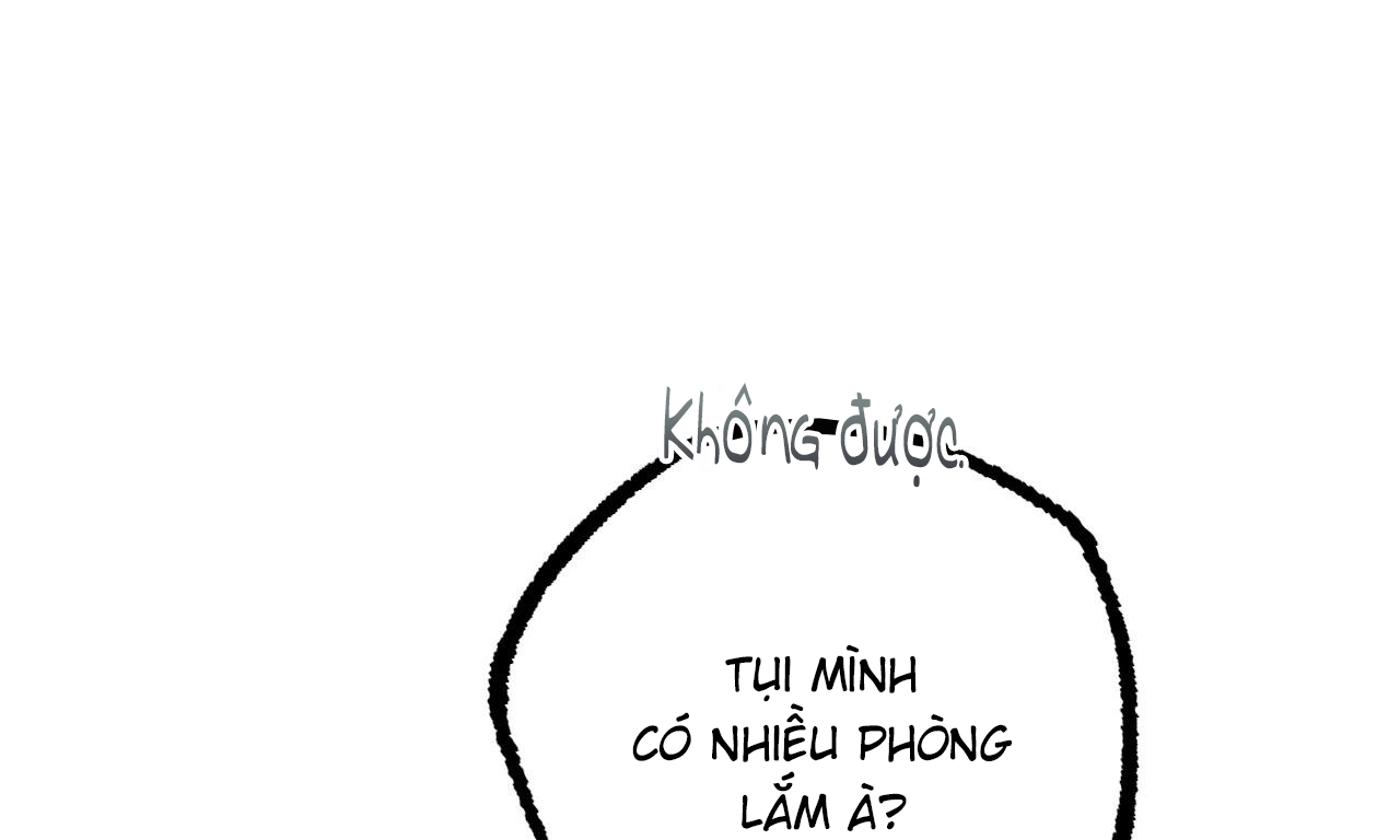 những chú thỏ của hapypy chapter 51 195