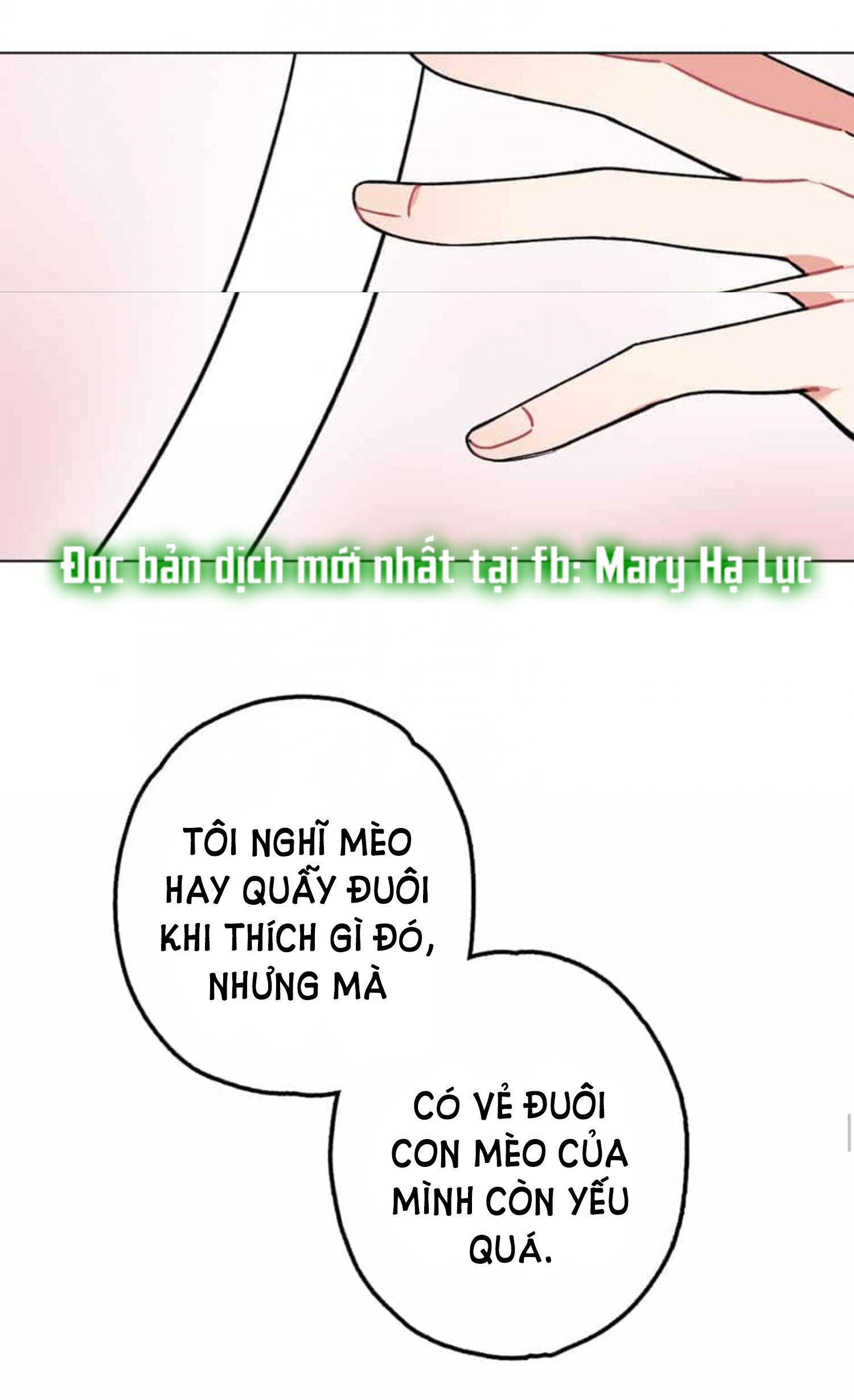 tiểu thư và dàn hầu nam mlem chapter 31 38