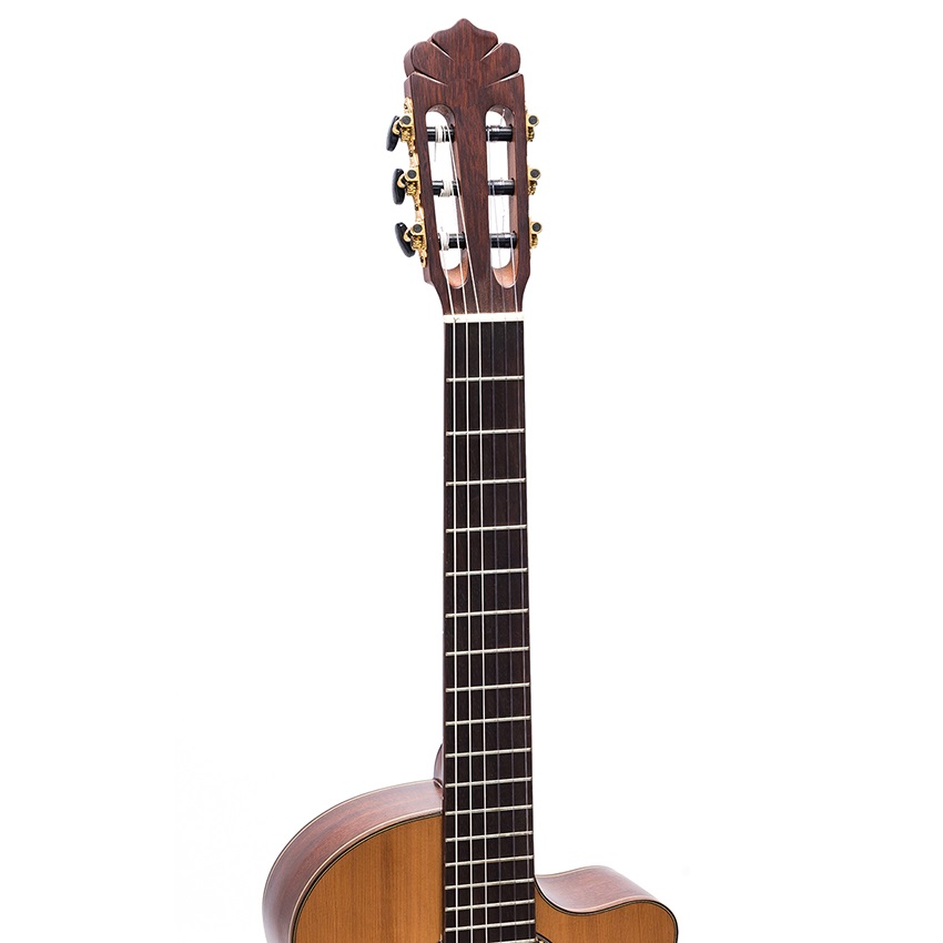 Đàn Guitar Classic DC450J guitar Việt Nam