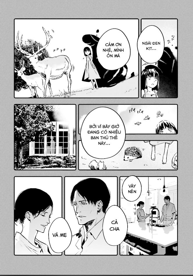 fate/strange fake chapter 24 4