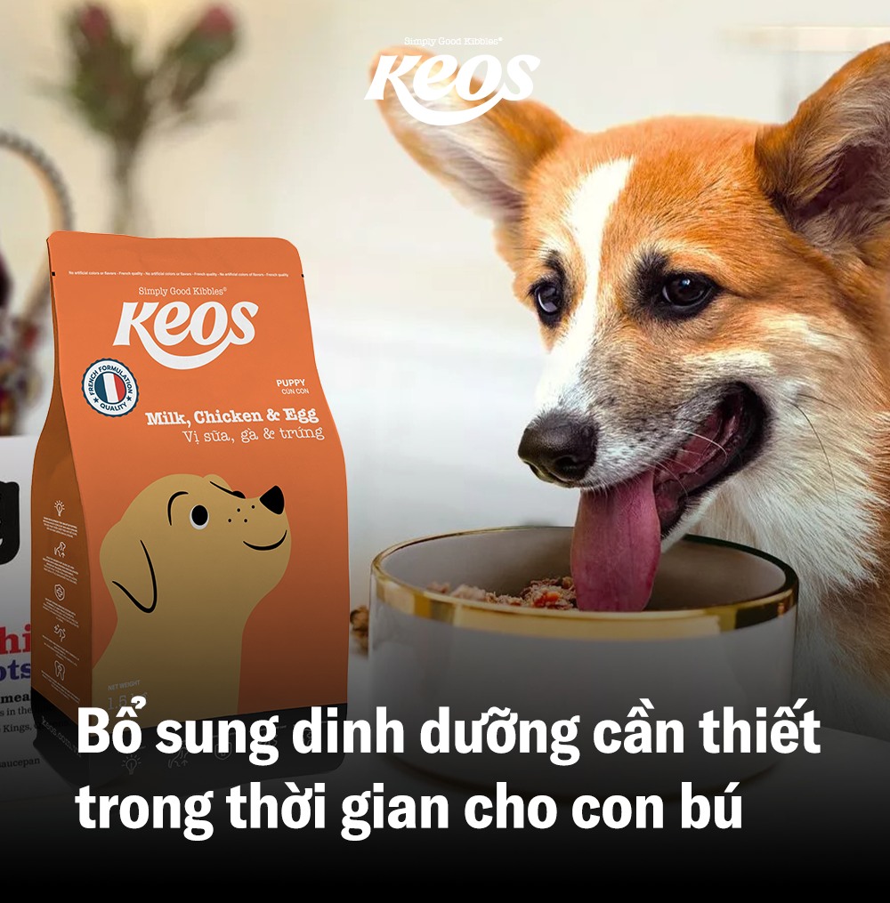 20KG Thức ăn Keos vị Trứng, Gà và Sữa dành cho cún con - KEOS DOG PUPPY MILK, CHICKEN AND EGG