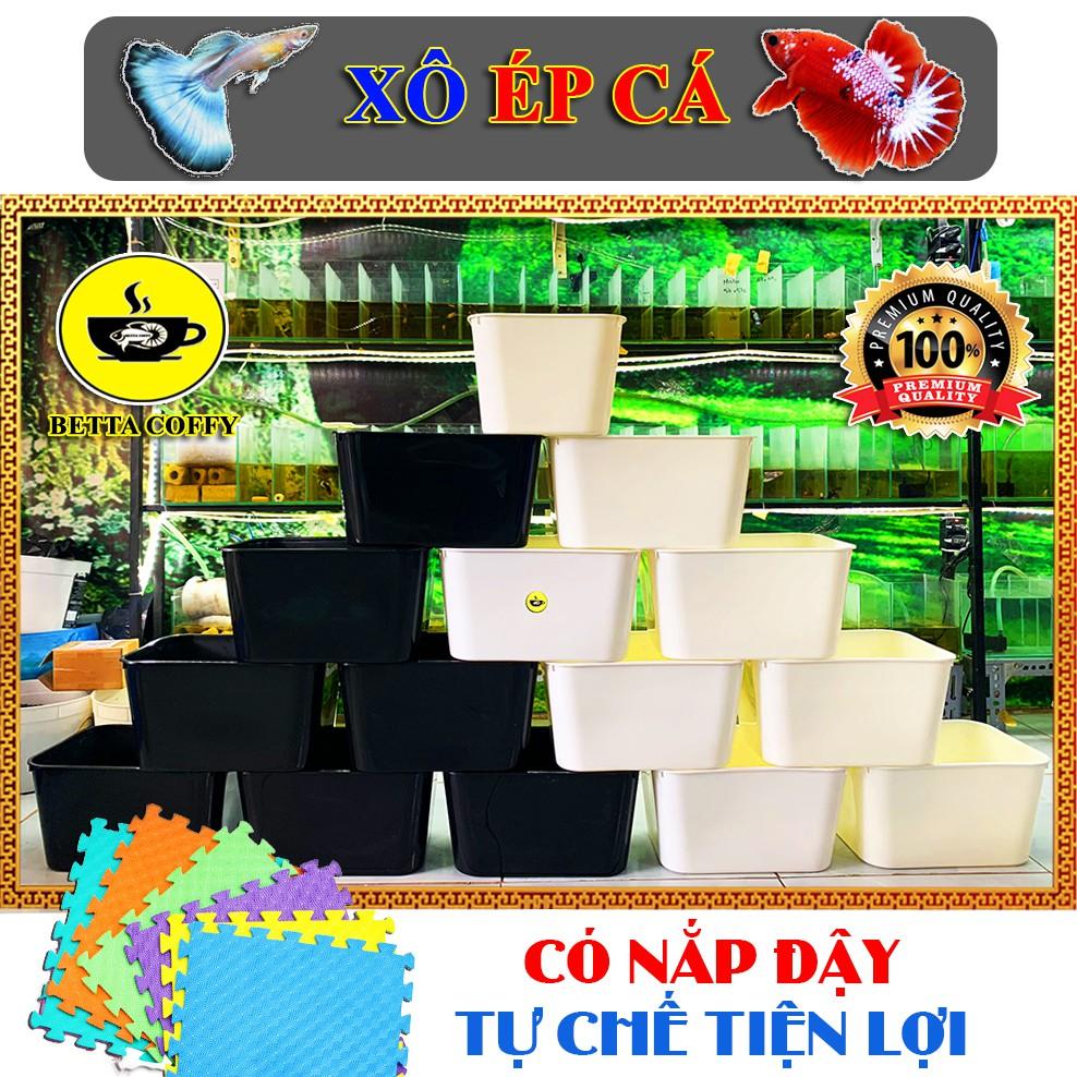 Thùng Nhựa Nuôi Cá tròn vuông khây chữ nhật ép đẻ