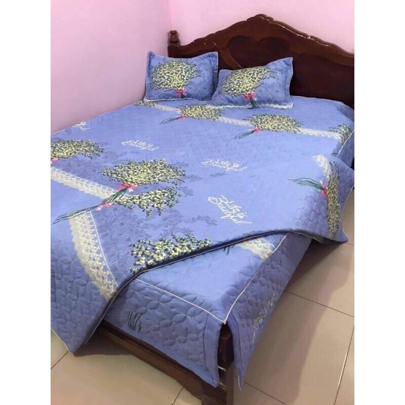 Bộ chăn ga gối 5 món ga phủ trần bông đủ các kích thước từ 1M6 đến 2M2