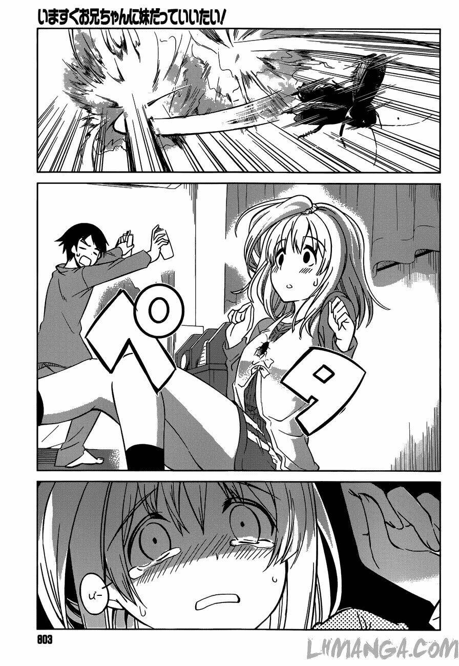 imasugu oniichan ni imouto datte iitai chapter 11 4