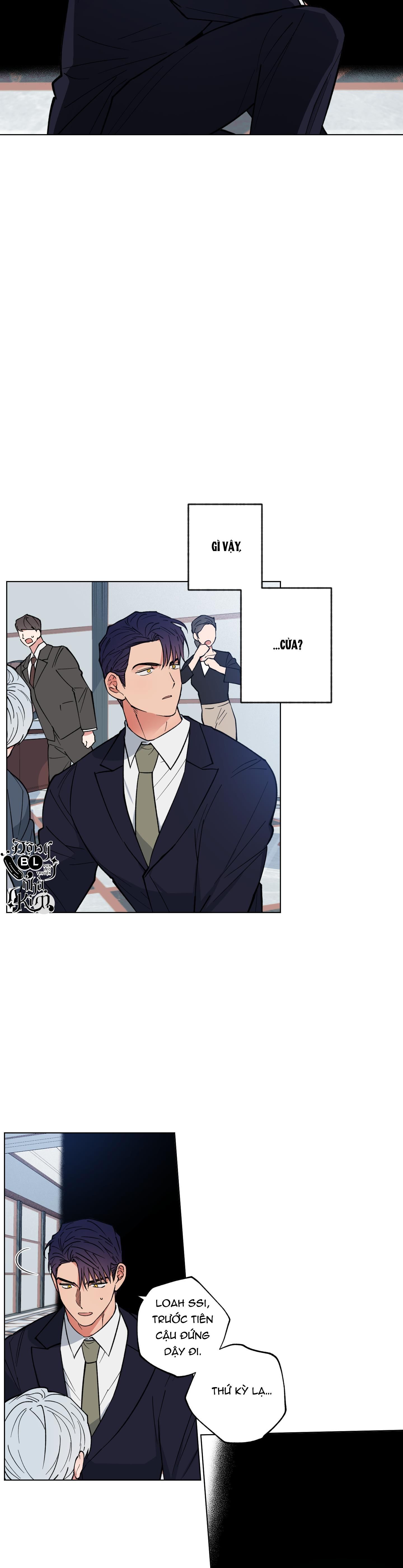 bình minh của rồng chapter 11 11