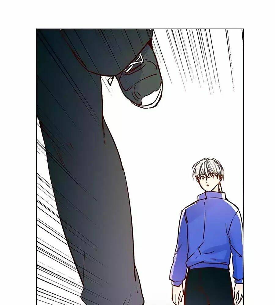 ngôi sao vụn vỡ chapter 48 29