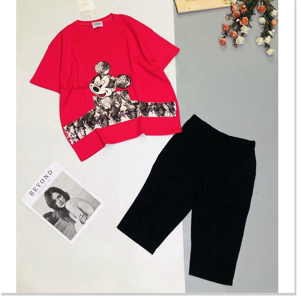 Đồ mặc nhà nữ siêu siêu xinh đẹp , thun cotton cực xịn THỜI TRANG KING FASHION
