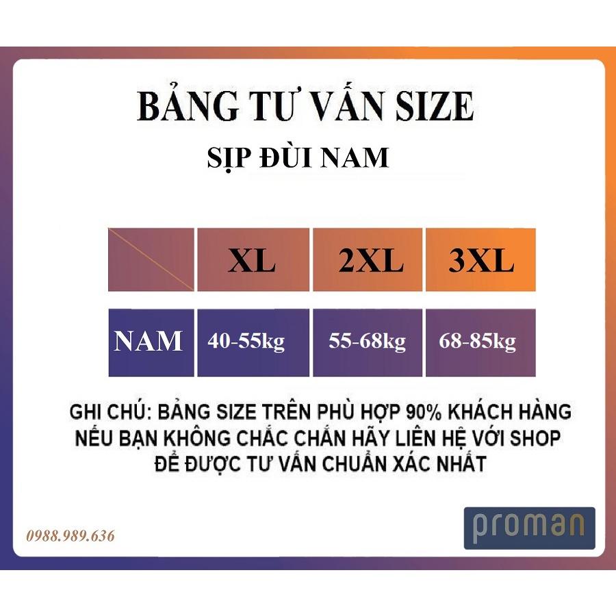 Quần Lót Nam thun lạnh tam giác ICON Co dãn 4 chiều thoáng mát SIC01 (Che tên) - PROMAN