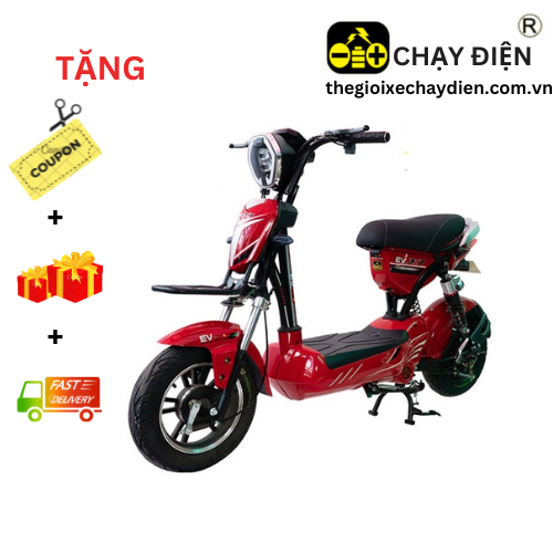 XE ĐIỆN EV X1