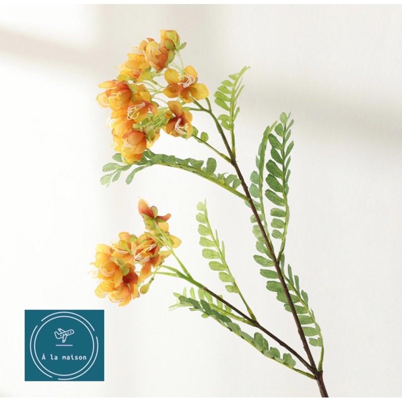 Cành hoa Chi vang cao 78cm nhiều nhánh hoa và lá đẹp tự nhiên