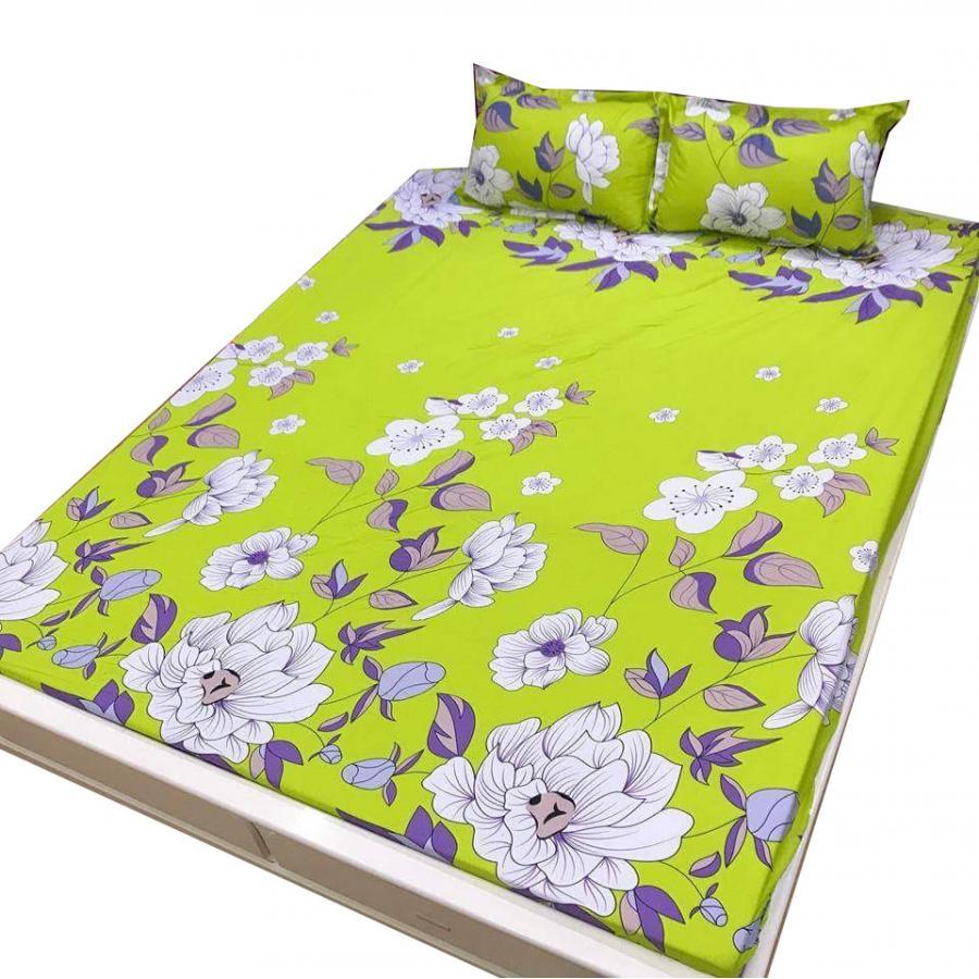 Set 5 món chăn hè ga chun Cotton Poly hồng xanh