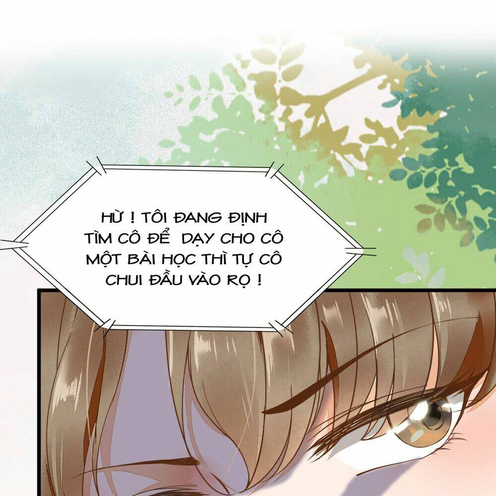 sát thủ vương phi không dễ chọc chapter 2 5