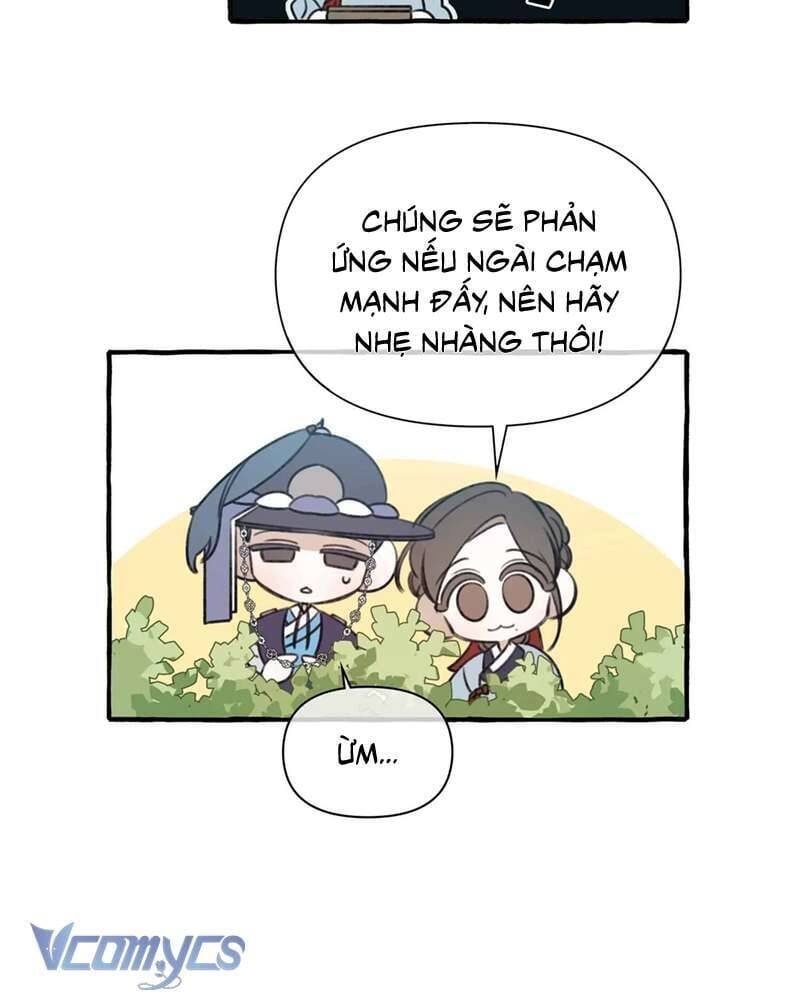 chuyện tình hoa lưu ly chapter 3 51