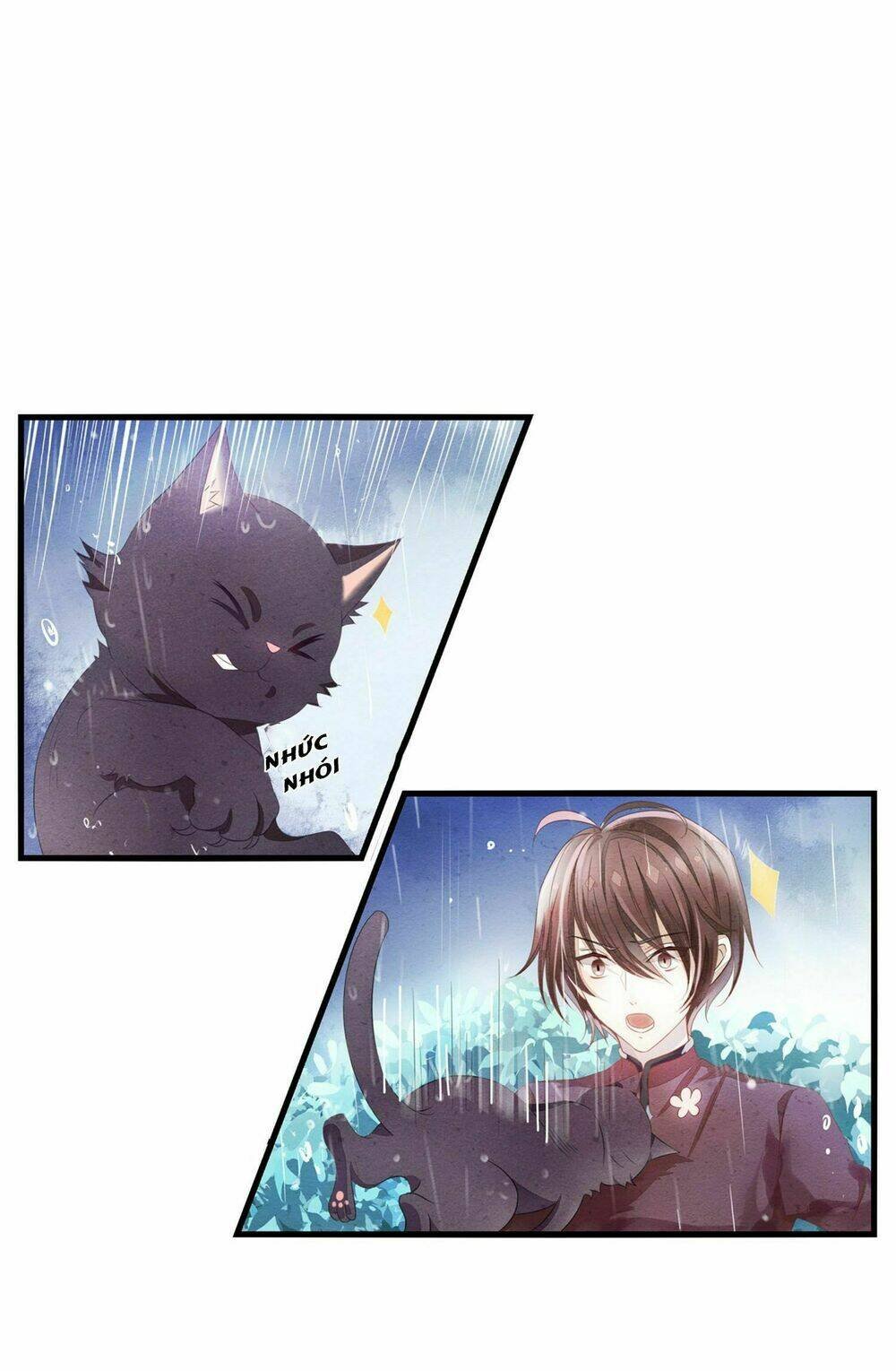 làm mèo của ta chapter 1 13