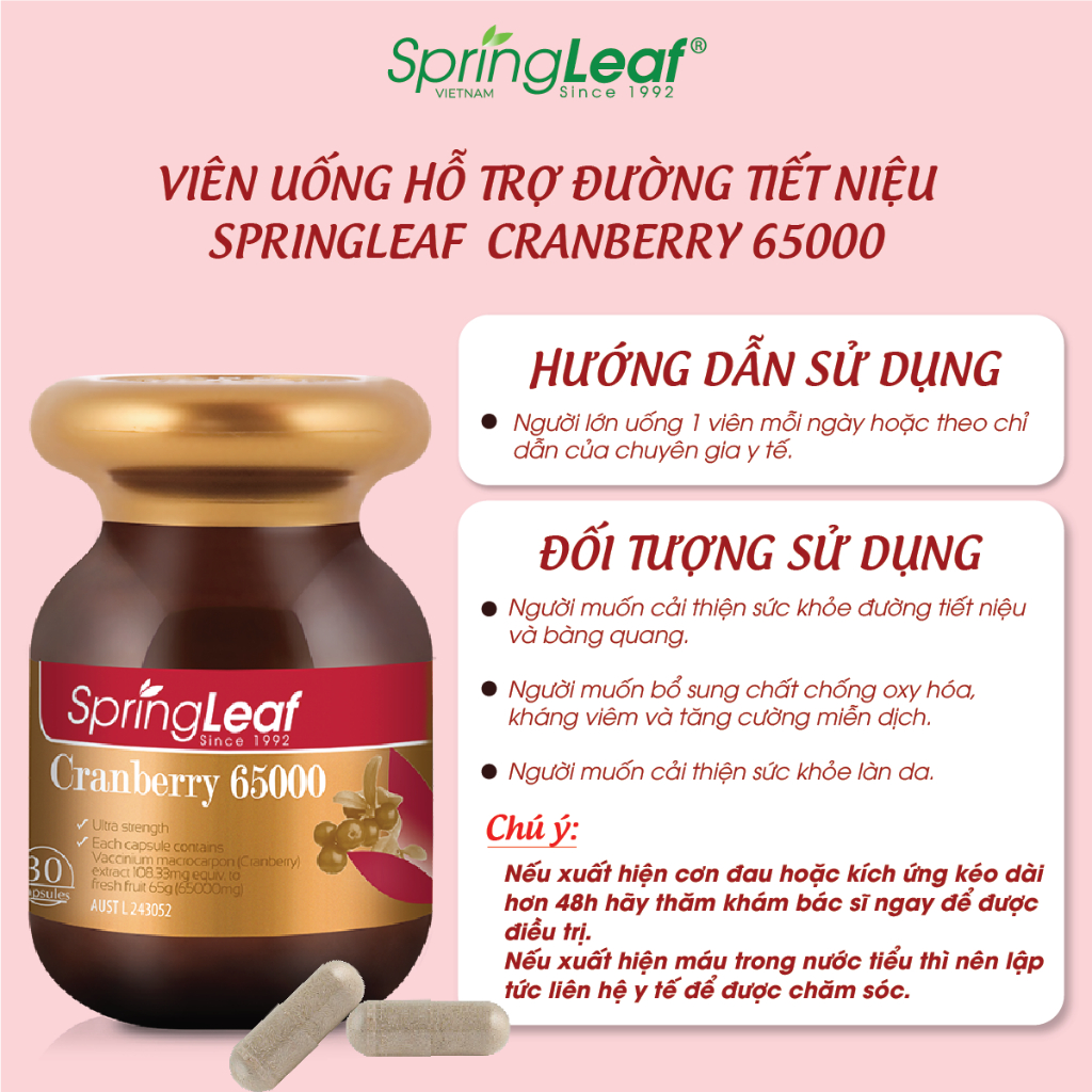 Viên uống đường tiết niệu SpringLeaf Cranberry 65000mg 30 viên cải thiện sức khỏe tim mạch, sức khỏe đường tiết niệu, chống oxy hóa