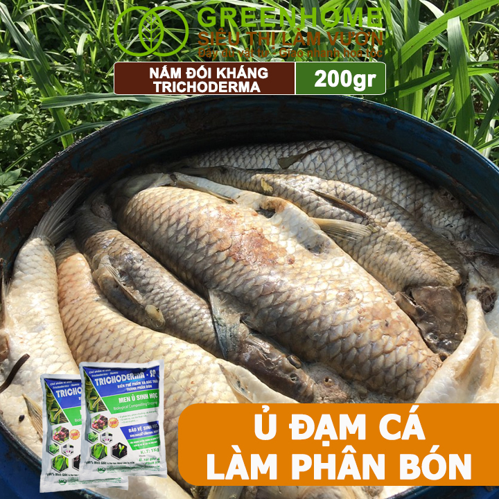 Nấm Đối Kháng Trichoderma, Hoàng Kim, Ủ Phân Hữu Cơ, Ủ Rác, Đậu Tương, Khử Mùi, Cải Tạo Đất