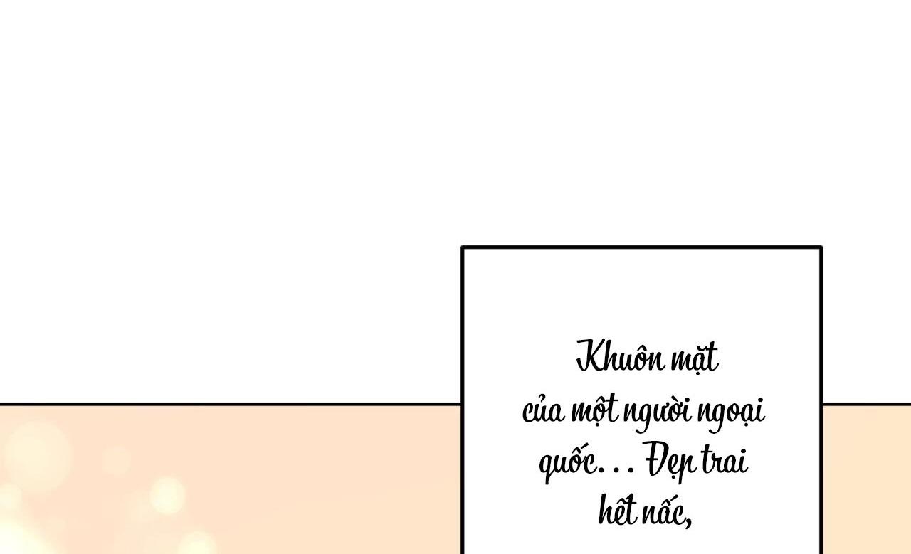 khu rừng tĩnh lặng chapter 2 8