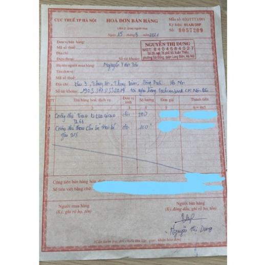 Cho Bé Giày Thể Thao cổ cao Quảng Châu cao cấp cho bé trai bé gái JK68 (Ảnh thật, video)