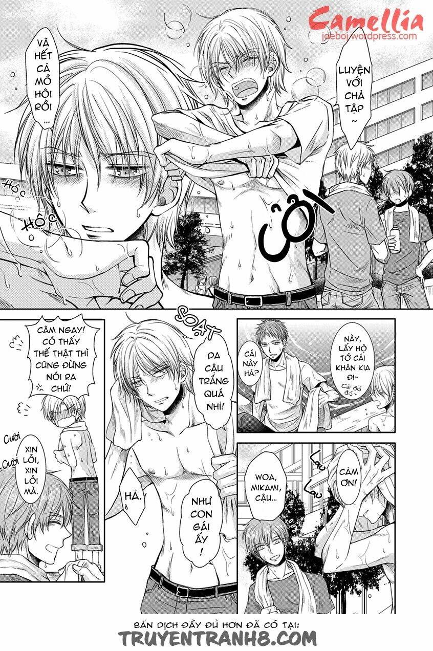 [camellia] đừng chạm vào ngực tôi! chapter 1 6