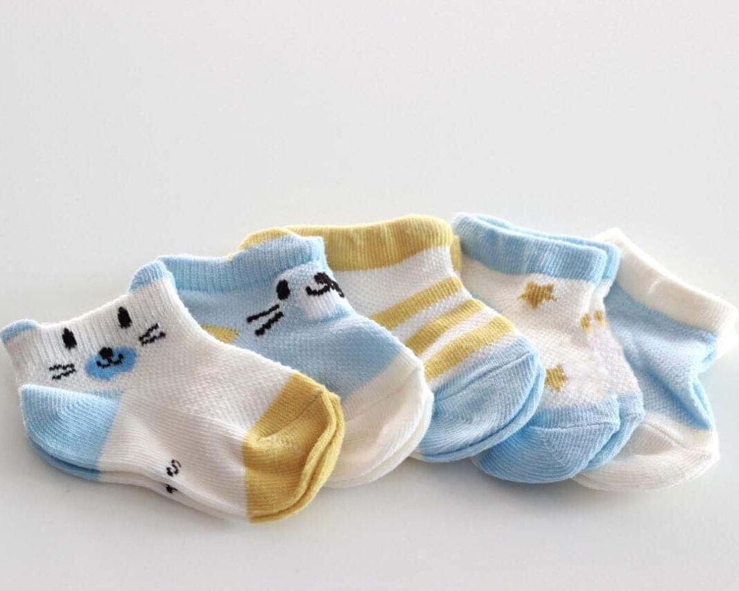 Set 5 Đôi Vớ Tất Lưới Mùa Hè Cao Cấp
